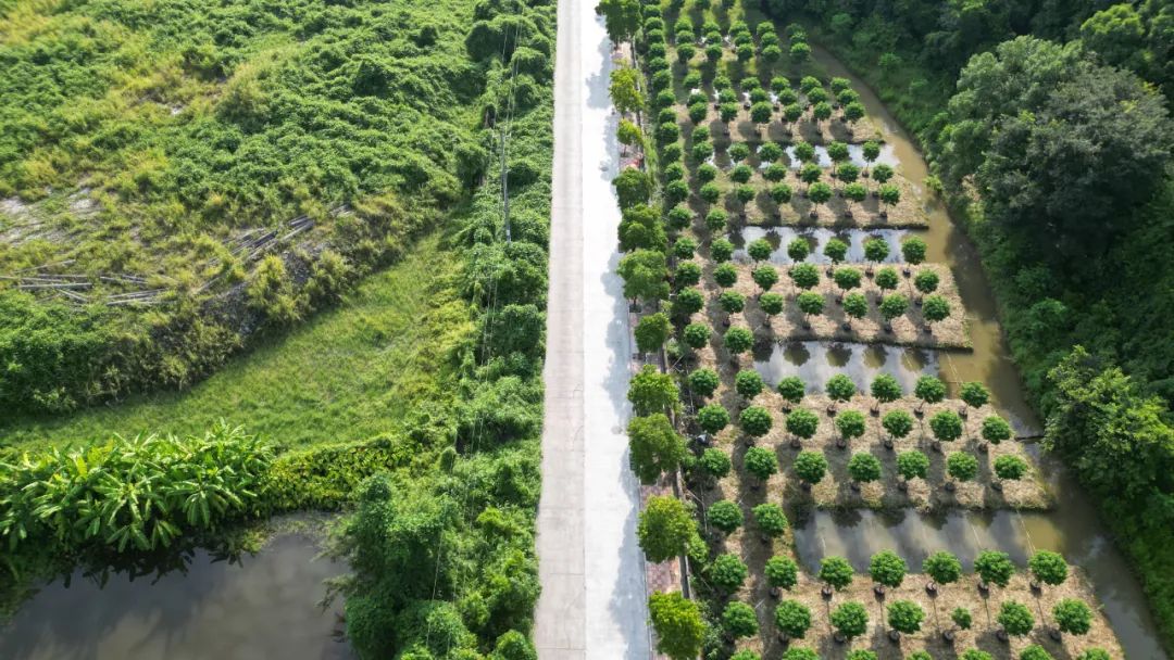 1742369387809025.jpg 3.jpg