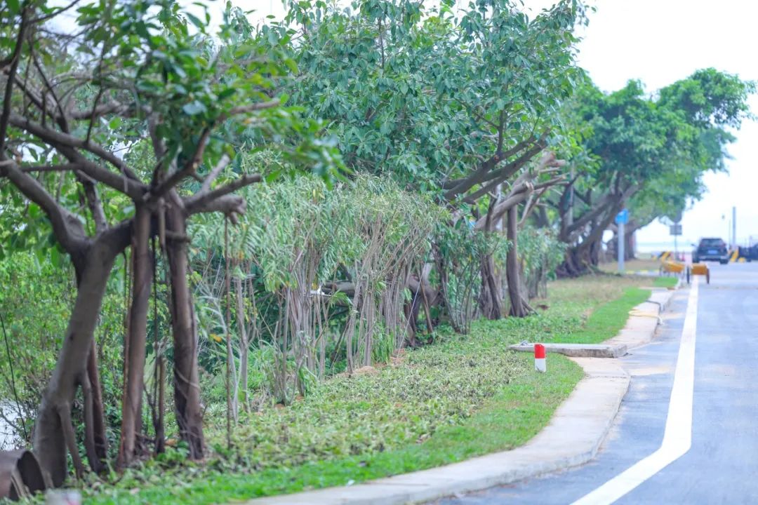 1747296940278168.jpg 24.jpg